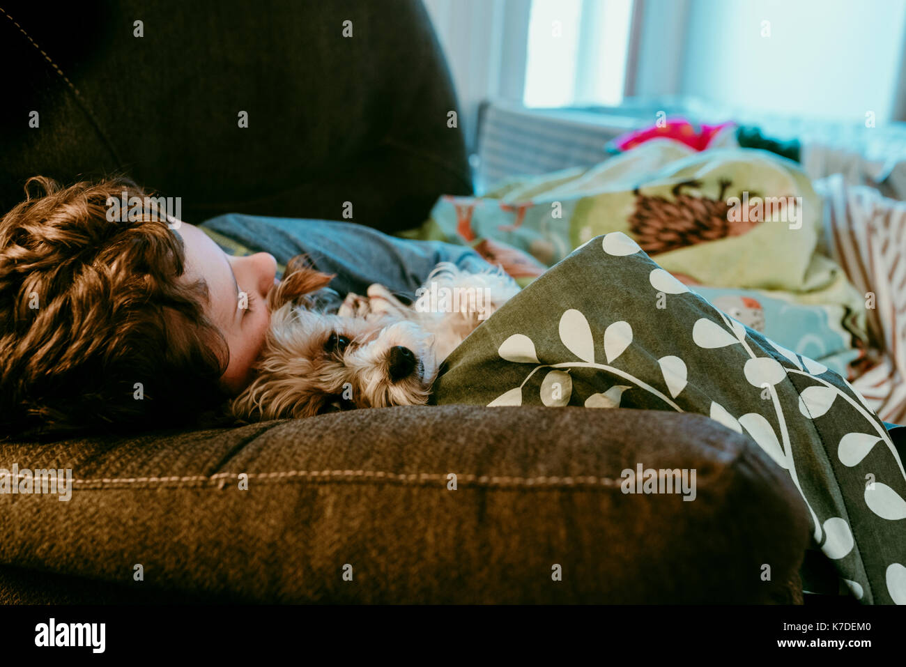 Il ragazzo e il cane dorme sul divano di casa Foto Stock