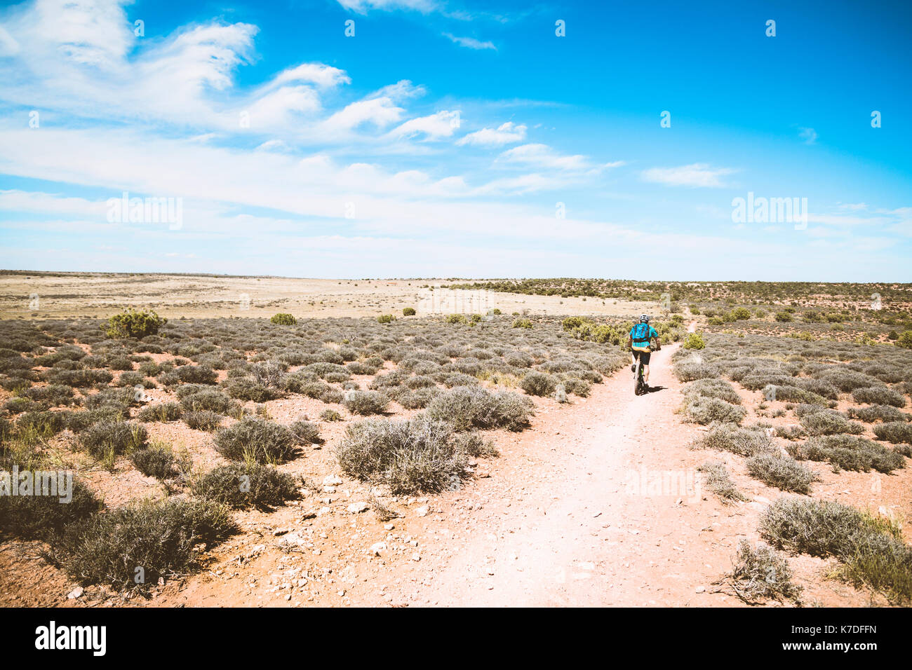 Vista posteriore del senior uomo Bicicletta Equitazione su sentiero sterrato in mezzo semi-arido paesaggio contro sky Foto Stock