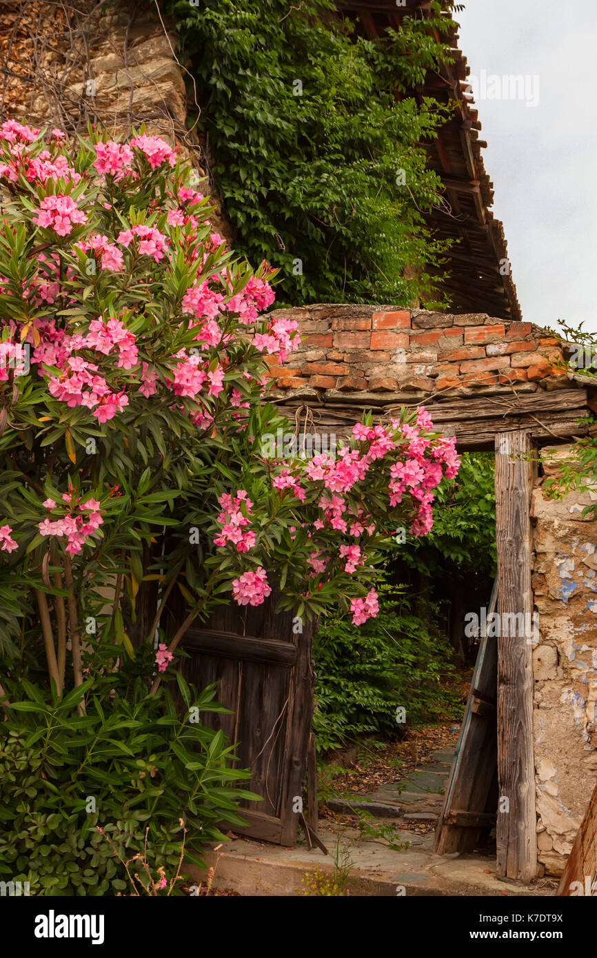 Vecchia casa abbandonata Foto Stock