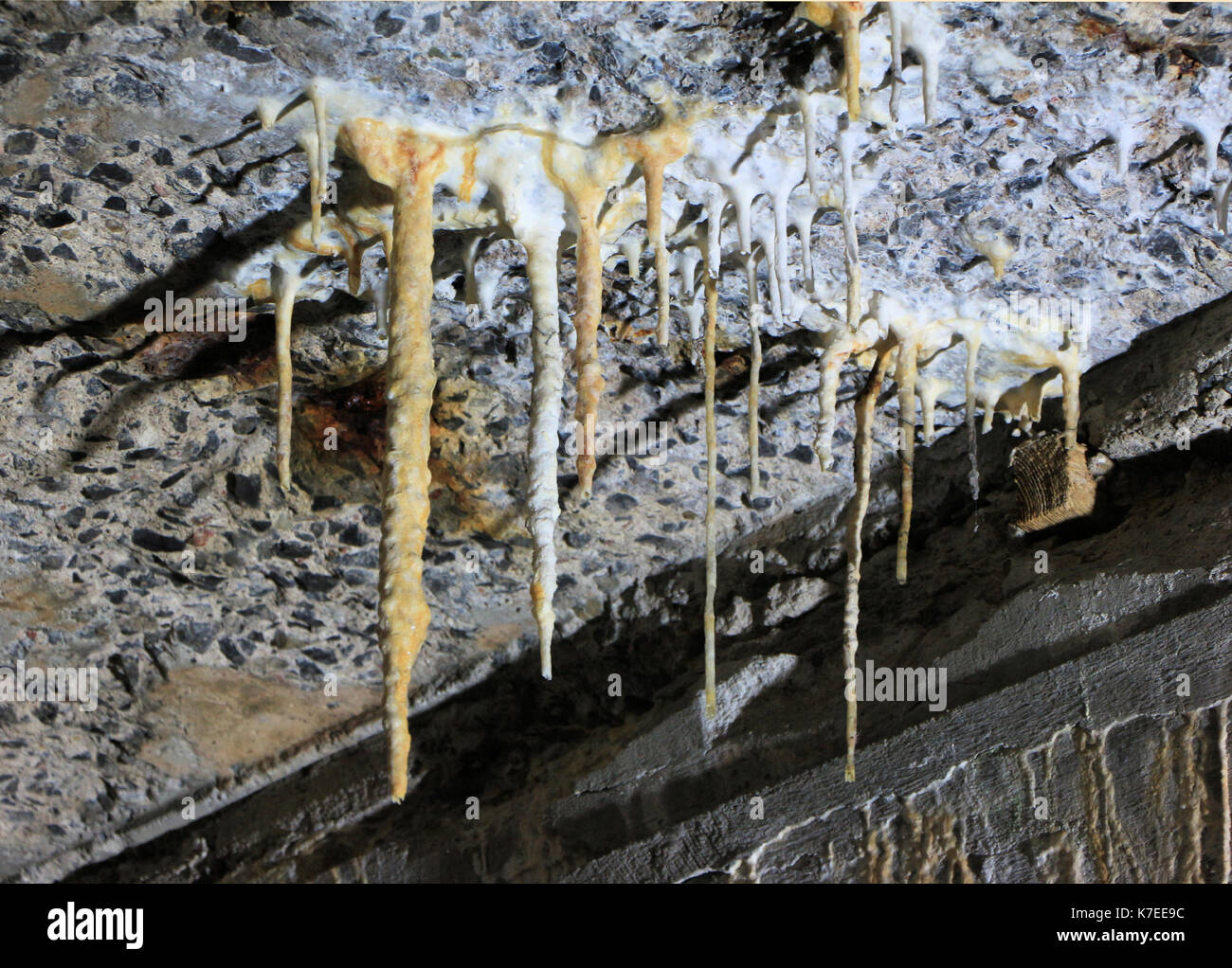 Lime o sale di lisciviazione da un soffitto della cantina in un mulino abbandonato forme strane icicle di formazioni. Foto Stock