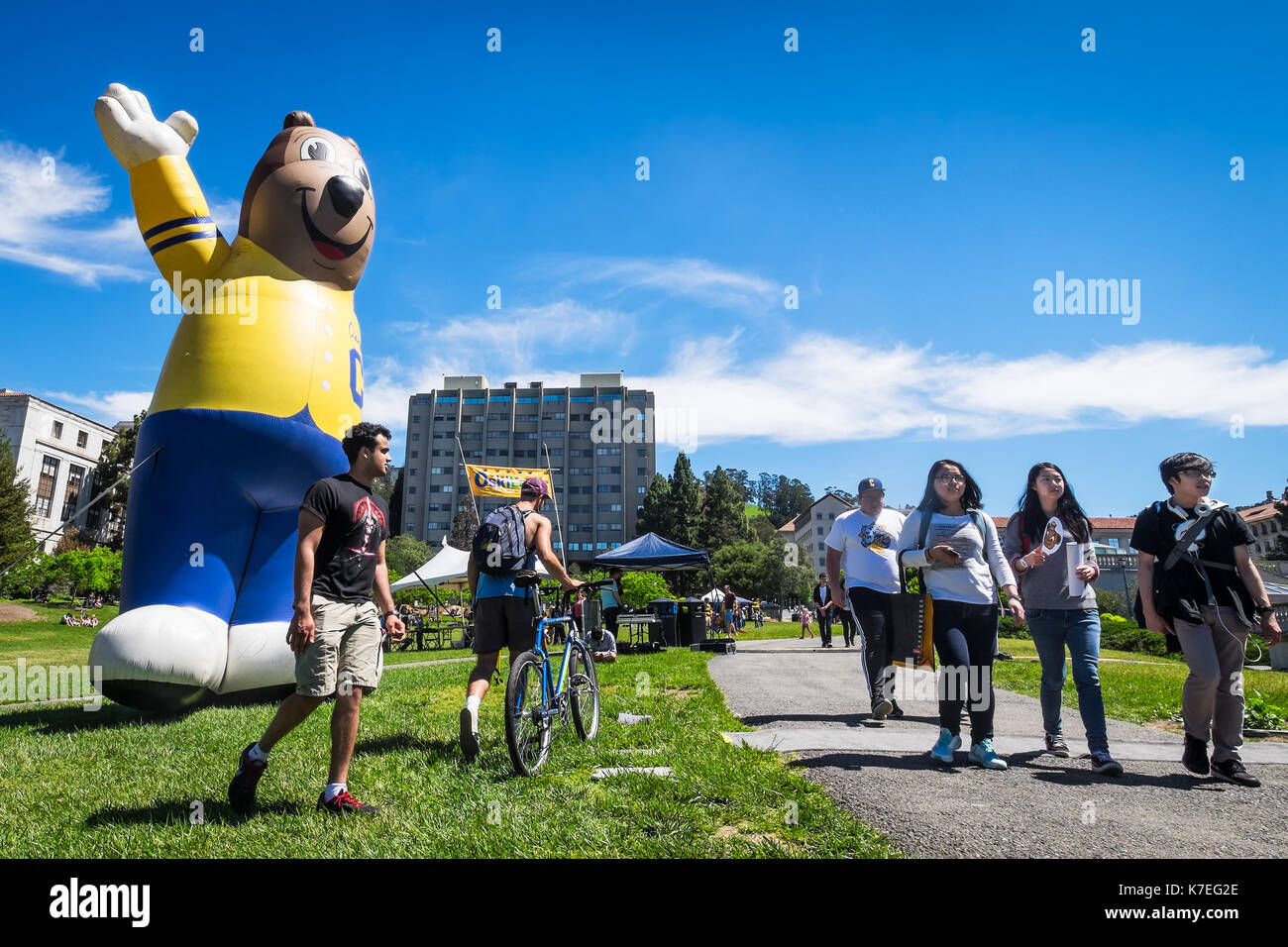 BERKELEY, ca- Apr 16, 2016: Università della California Berkeley enorme Mascotte gonfiabile Oski l'Orso saluta appena studenti ammessi su Cal giorno. Foto Stock