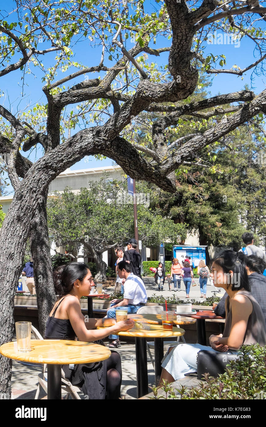 Università della California gli studenti a bere caffè e socializzare a tavoli all aperto di un popolare cafe attraversata la strada dal campus. Foto Stock