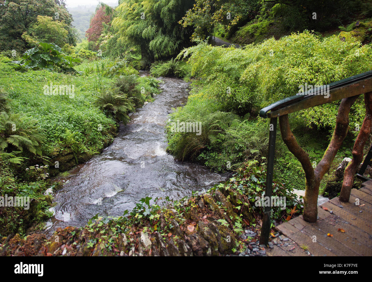 Hotel Arboretum endsleigh sotto la pioggia Foto Stock