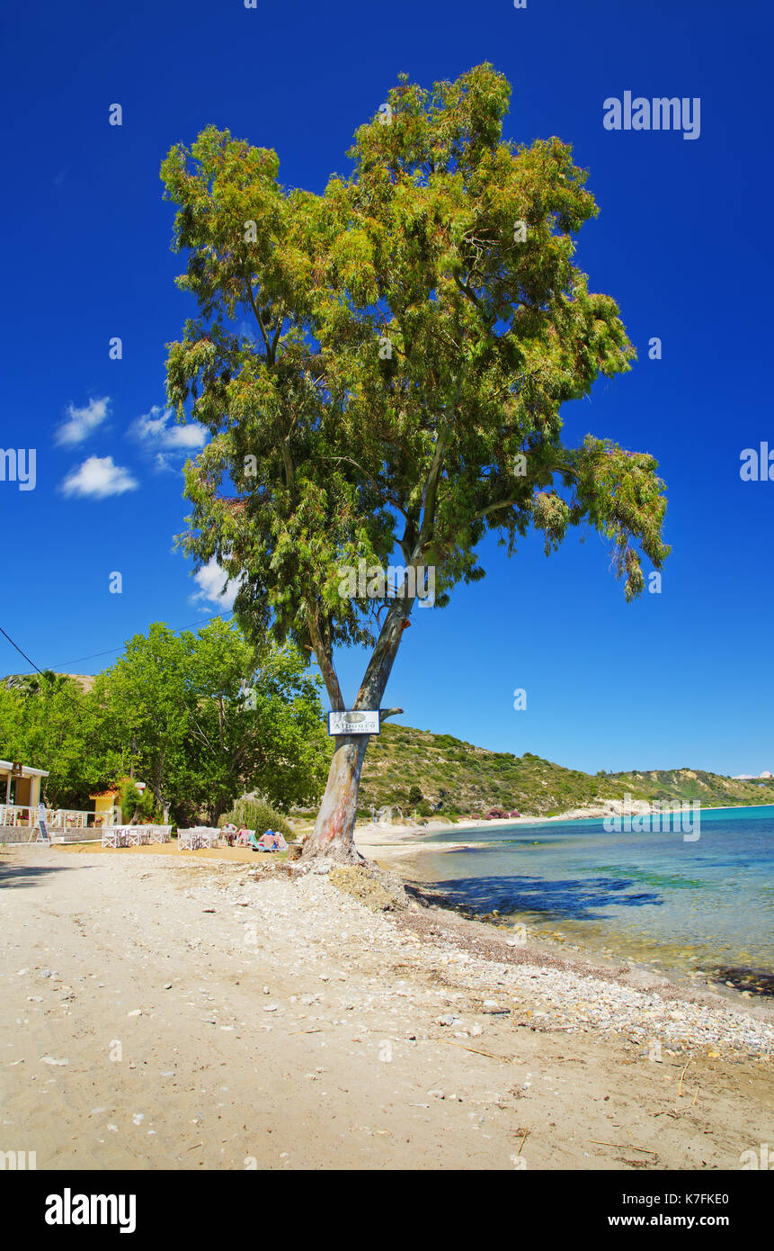 Al di fuori della taverna Albouru in Ketelios,Kefalonia,Grecia Foto Stock