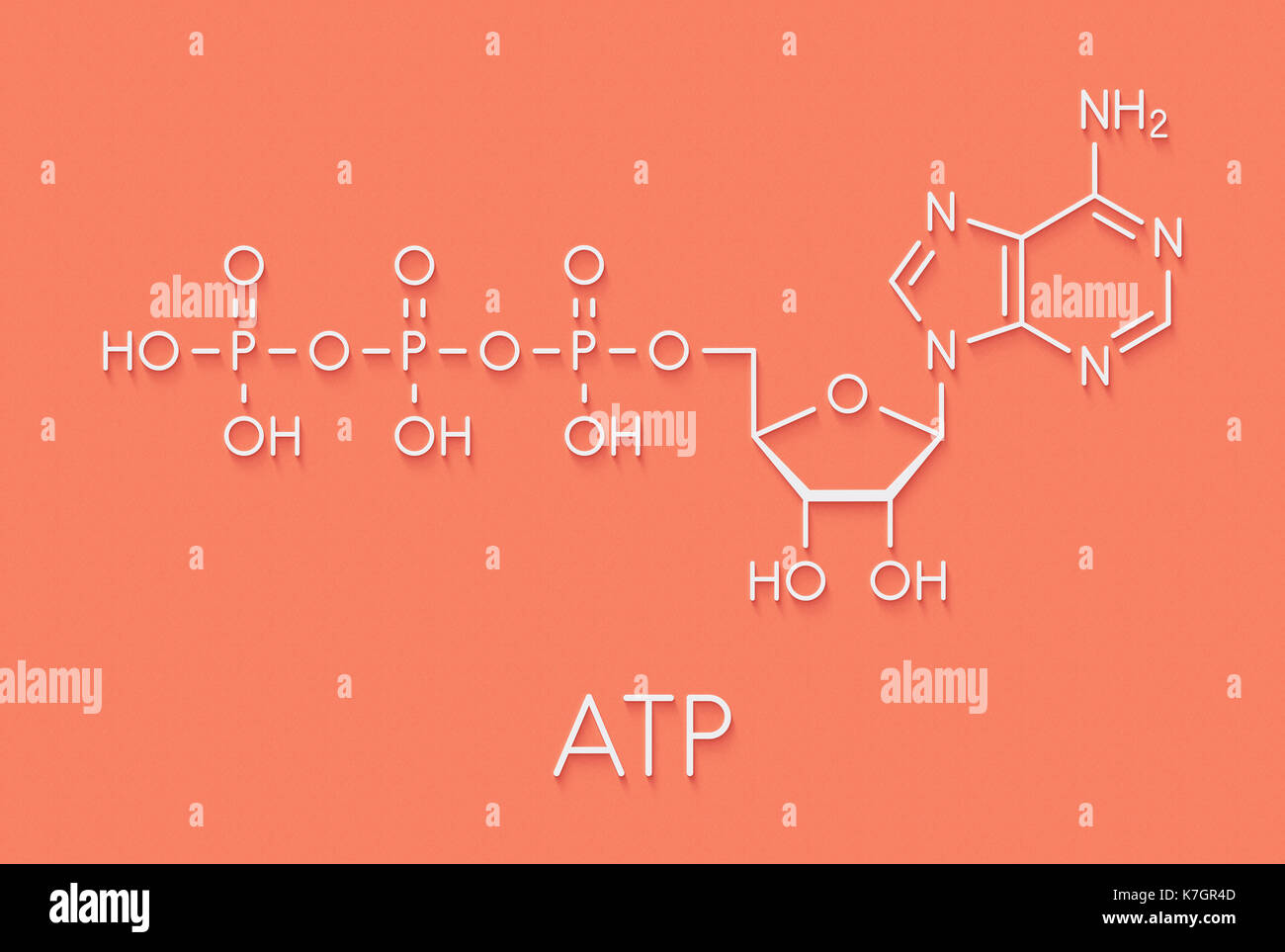 L'adenosina trifosfato (ATP) molecola. funzioni come neurotrasmettitore, rna building block, energia molecola di trasferimento, etc formula scheletrico. Foto Stock