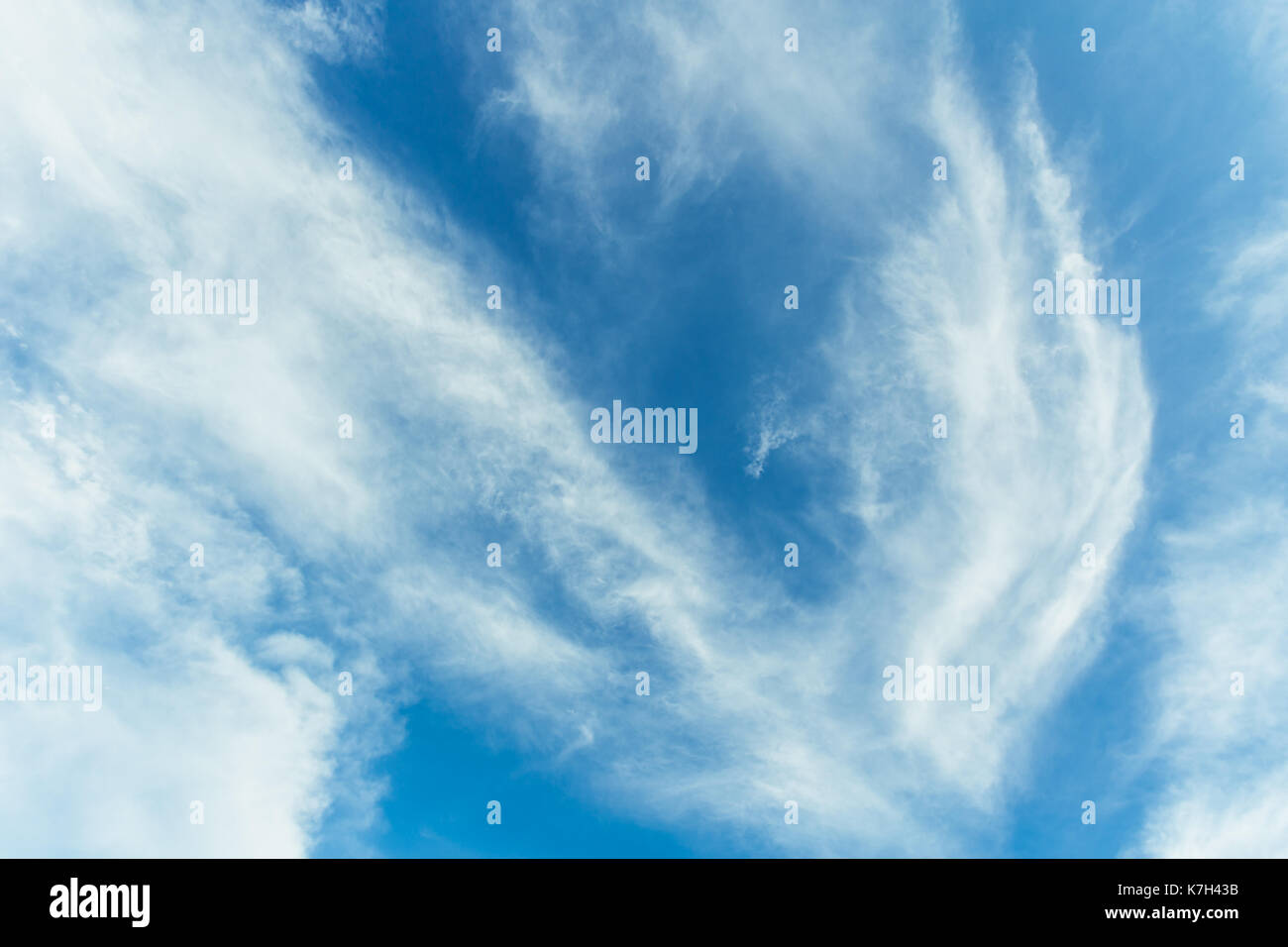 Blue sky cloud come bird. libertà concetto Natura. Foto Stock