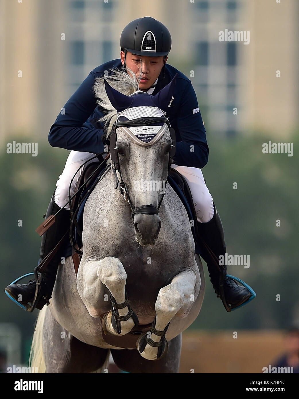 Tianjin, Cina. Xvi Sep, 2017. zhou ruihong della Cina è in concorrenza con il suo cavallo "WB" durante longines showjumping equestre grand prix(1.40m-1.50m) a 2017 longines cina tour altezze fortune cup tianjin stazione di Tianjin, Cina del nord, sett. 16, 2017. Credito: yue yuewei/xinhua/alamy live news Foto Stock