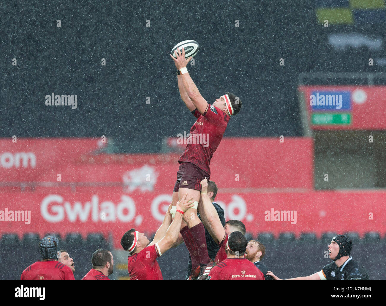 Billy Holland di Munster in azione a lineout presso il Liberty Stadium, Swansea in un Pro14 partita di rugby tra il falco pescatore e il Munster Foto Stock