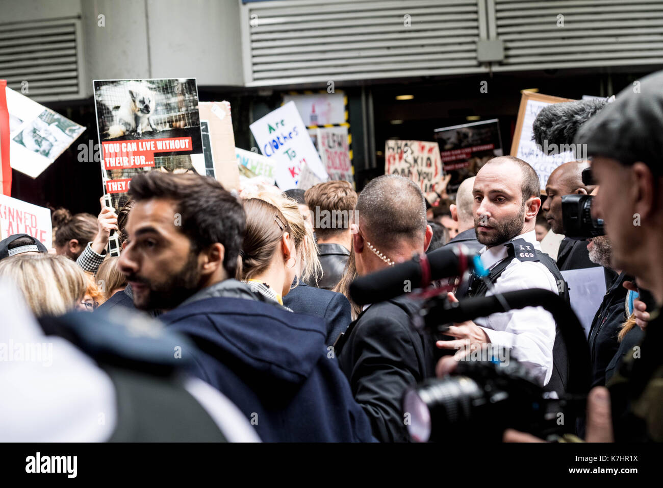 Londra il 16 settembre 2017, anti fur manifestanti picket di Gareth Pugh lfw17 presentazione presso il bfi imaz polizia assited personale di sicurezza e gli organizzatori per accompagnare gli ospiti attraverso la protesta del credito: Ian Davidson/alamy live news Foto Stock