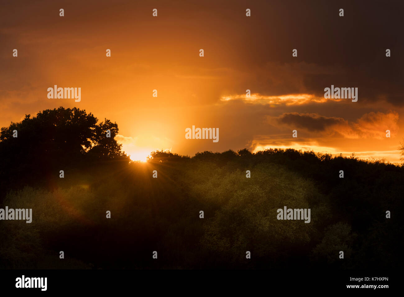 Tramonto sul lago Hosehill, Theale, REGNO UNITO Foto Stock