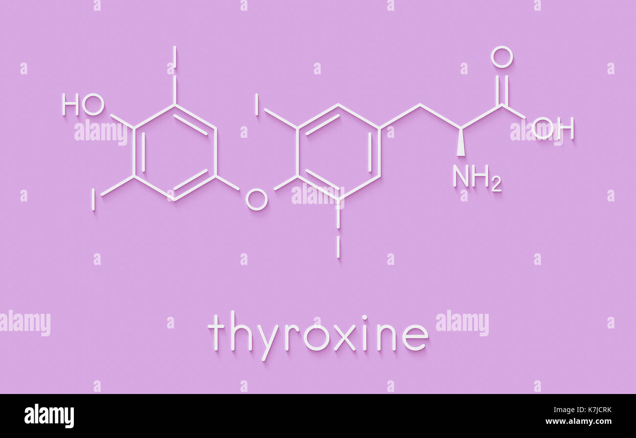Tiroxina (t4, la levotirossina) di ormone tiroideo molecola. proormone di thyronine (t3). utilizzato come farmaco per il trattamento di ipotiroidismo. formula scheletrico. Foto Stock