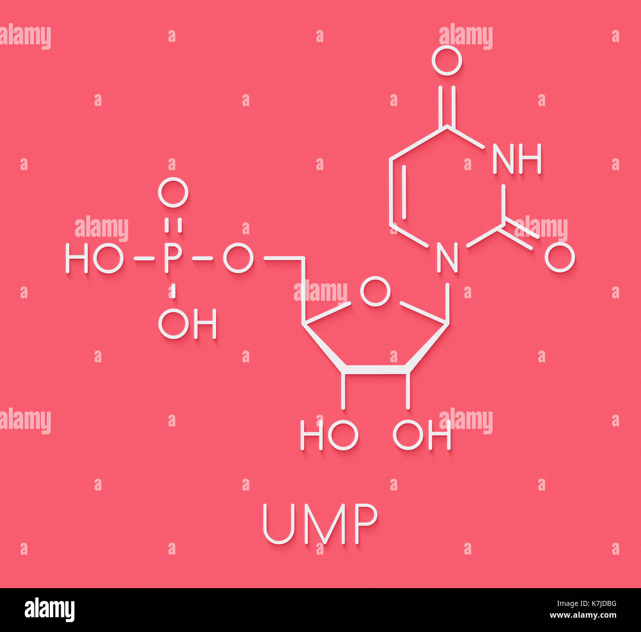 Uridina monofosfato (UMP, acido uridylic) Sequenza nucleotidica molecola. building block di RNA. formula scheletrico. Foto Stock