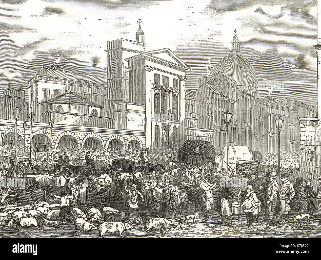 Smithfield mercato del bestiame, Londra nel 1848 Foto Stock