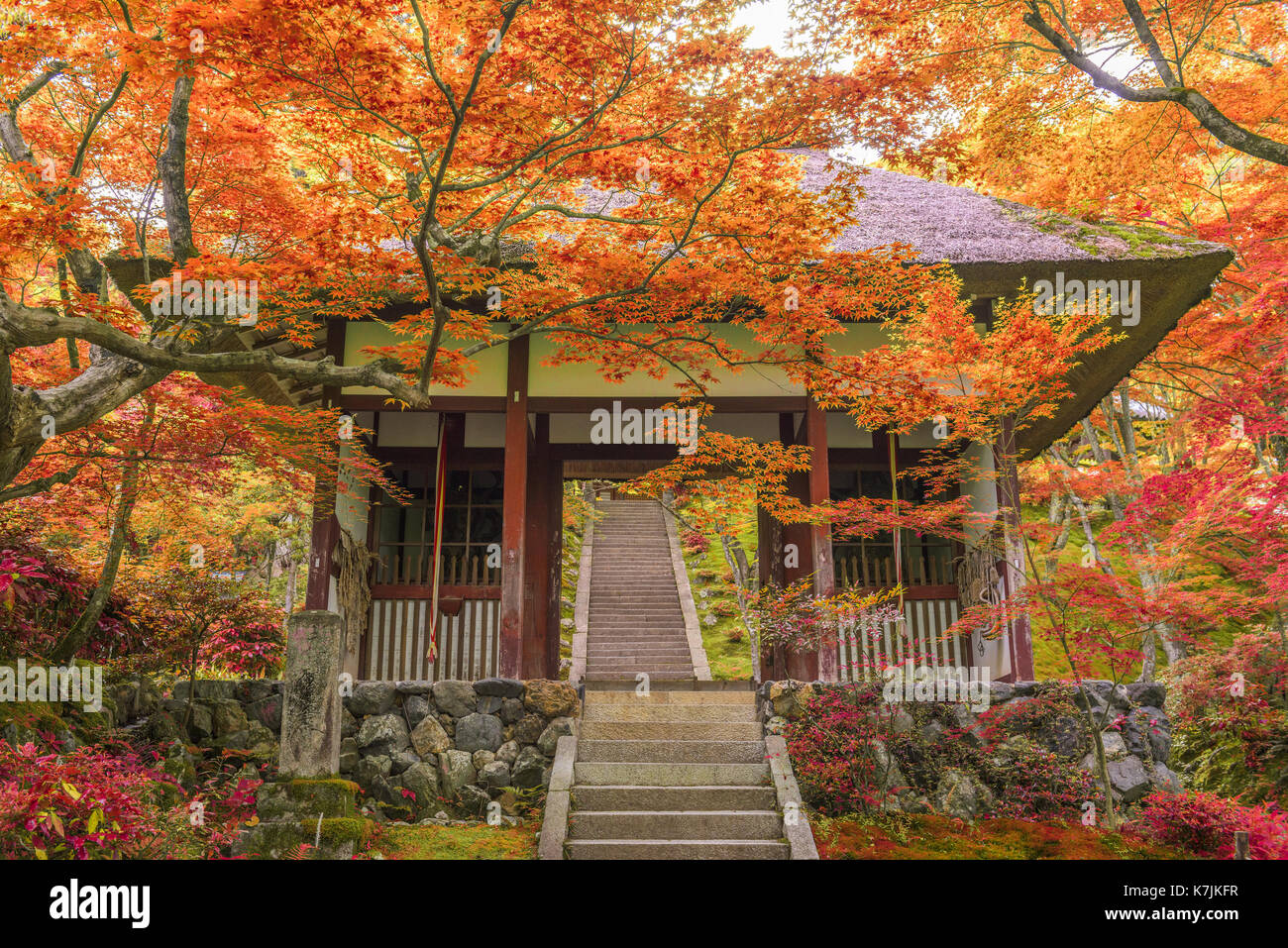 Kyoto, Giappone al tempio jojakko. Foto Stock