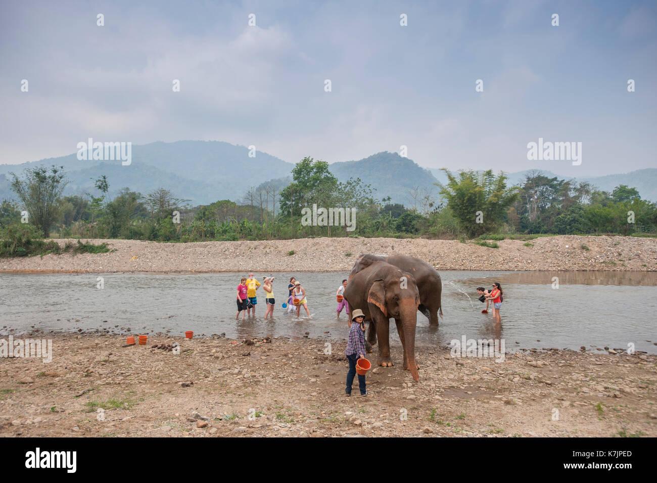 I visitatori lavano il fiume Mae Taeng un elefante nel centro di salvataggio e riabilitazione. Parco Naturale degli Elefanti, Provincia di Chiang mai, Tailandia Foto Stock