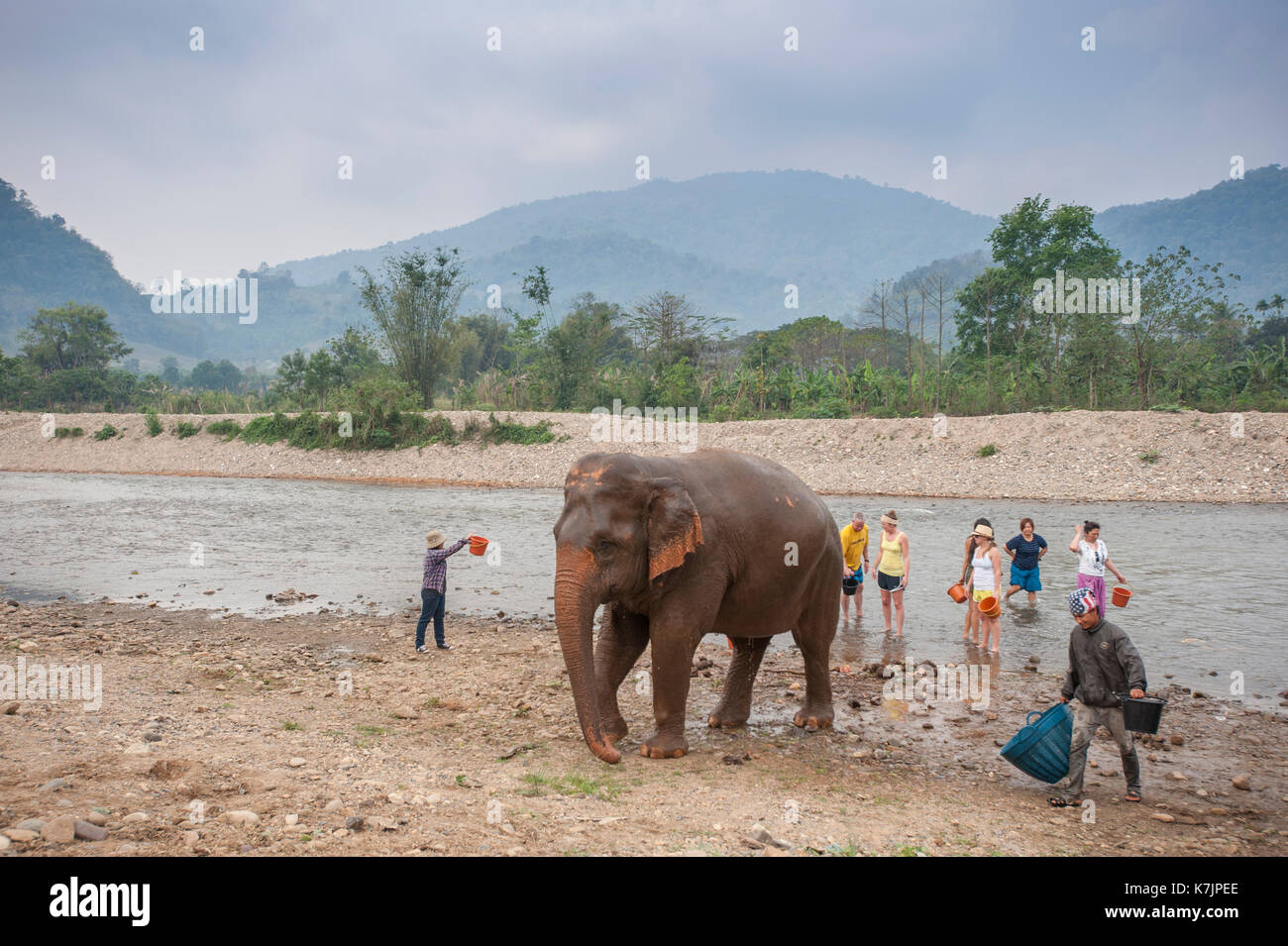 I visitatori lavano il fiume Mae Taeng un elefante nel centro di salvataggio e riabilitazione. Parco Naturale degli Elefanti, Provincia di Chiang mai, Tailandia Foto Stock