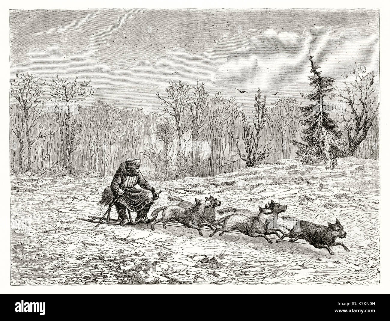 Vecchia illustrazione di slitte trainate da cani. Da Gauchard, publ. in Le Tour du Monde, Parigi, 1862 Foto Stock