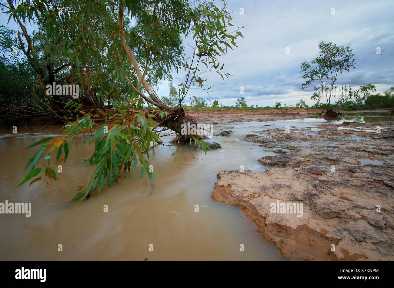 Inondati creek dopo la rottura della siccità pioggia, bladensberg national park, winton, western queensland Foto Stock