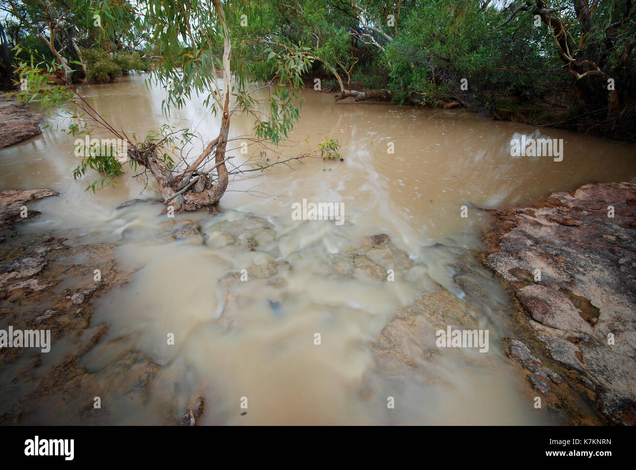 Inondati creek dopo la rottura della siccità pioggia, bladensberg national park, winton, western queensland Foto Stock