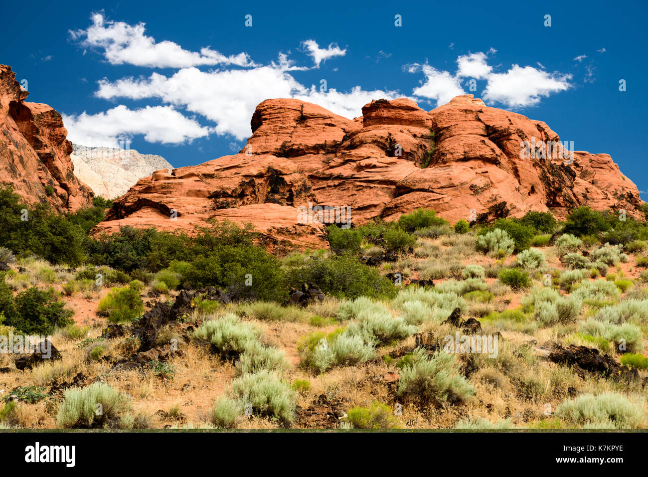 Scenic deserto verde valle con Red Rock Mountains Foto Stock