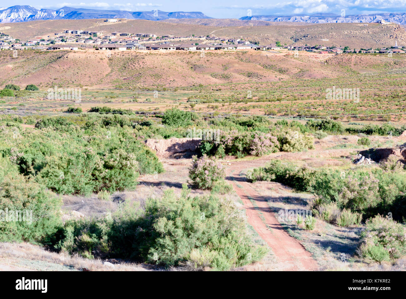 Strade sterrate attraverso verdi alberi, deserto colline che portano a una comunità. Foto Stock
