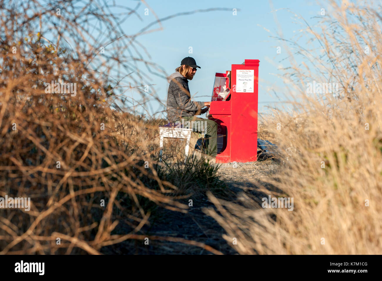 Musicista natanaele schaeffer al punto di bestiame, uplands park, Oak Bay, Victoria, isola di Vancouver, British Columbia, Canada Foto Stock