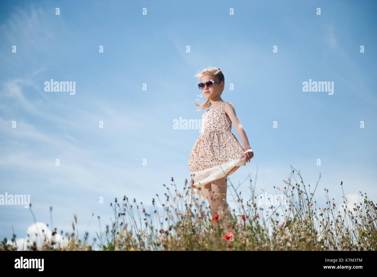 Giovane e bella ragazza caucasica indossando abiti corti e alla moda di occhiali da sole tra campo estivo con fiori con cielo blu sullo sfondo Foto Stock