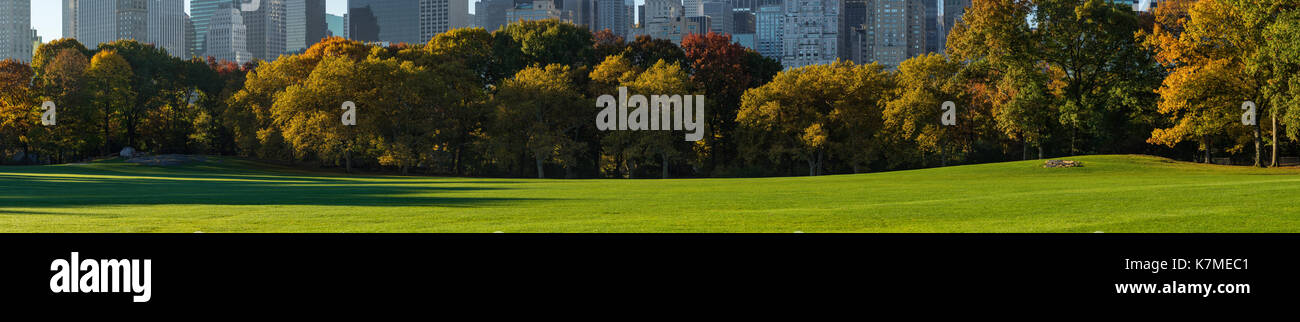 Central Park South da Sheep Meadow in inizio di mattina di luce. La città di New York Foto Stock