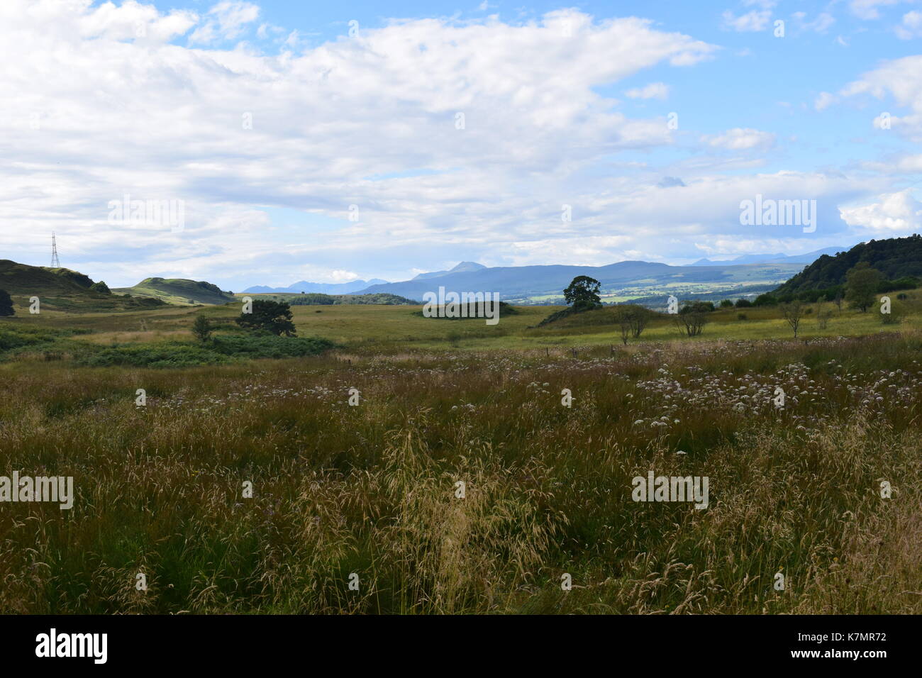Campagna vicino strathblane Foto Stock
