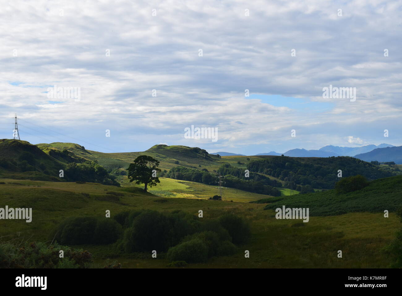 Campagna vicino strathblane Foto Stock