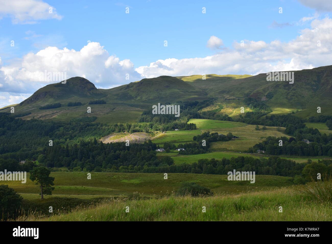 Campagna vicino strathblane Foto Stock
