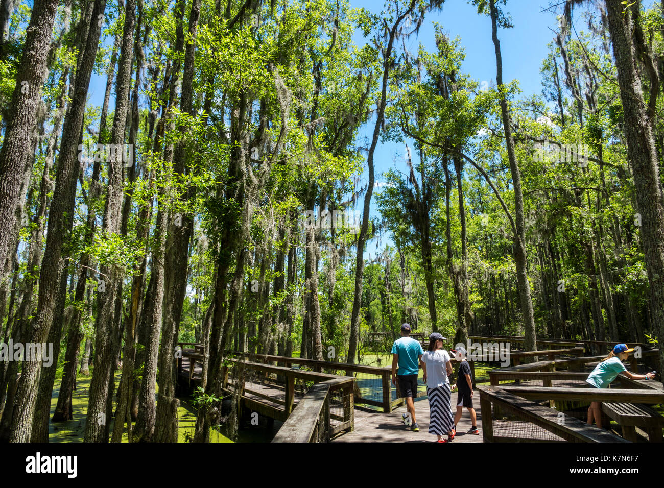 Charleston South Carolina, Magnolia Plantation and Gardens, antebellum, Audubon Swamp Garden, passeggiata nella natura, famiglie, genitori bambini bambini Foto Stock