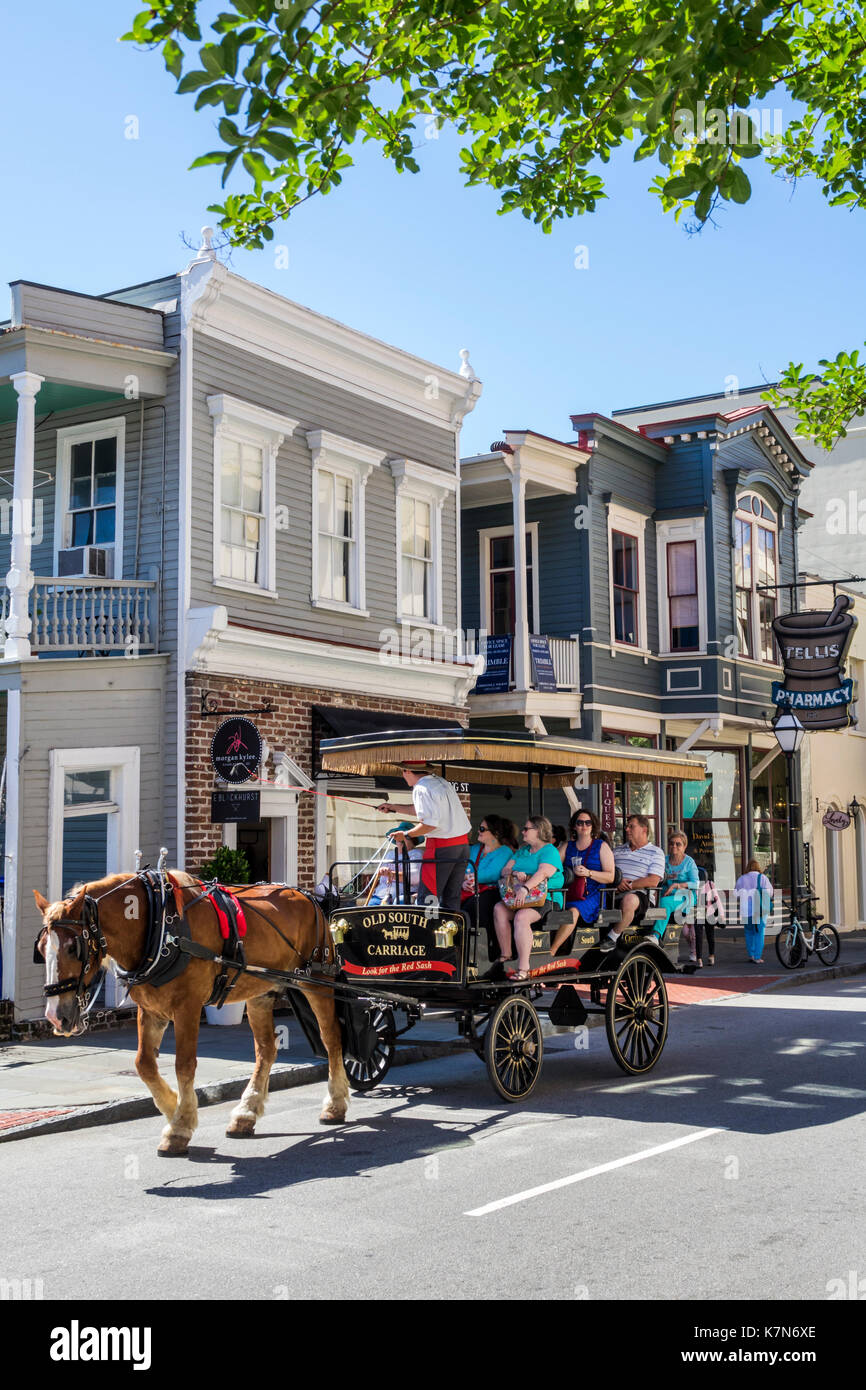 Charleston South Carolina, centro storico, Queen Street, tour guidato, carrozza trainata da cavalli, SC170514239 Foto Stock