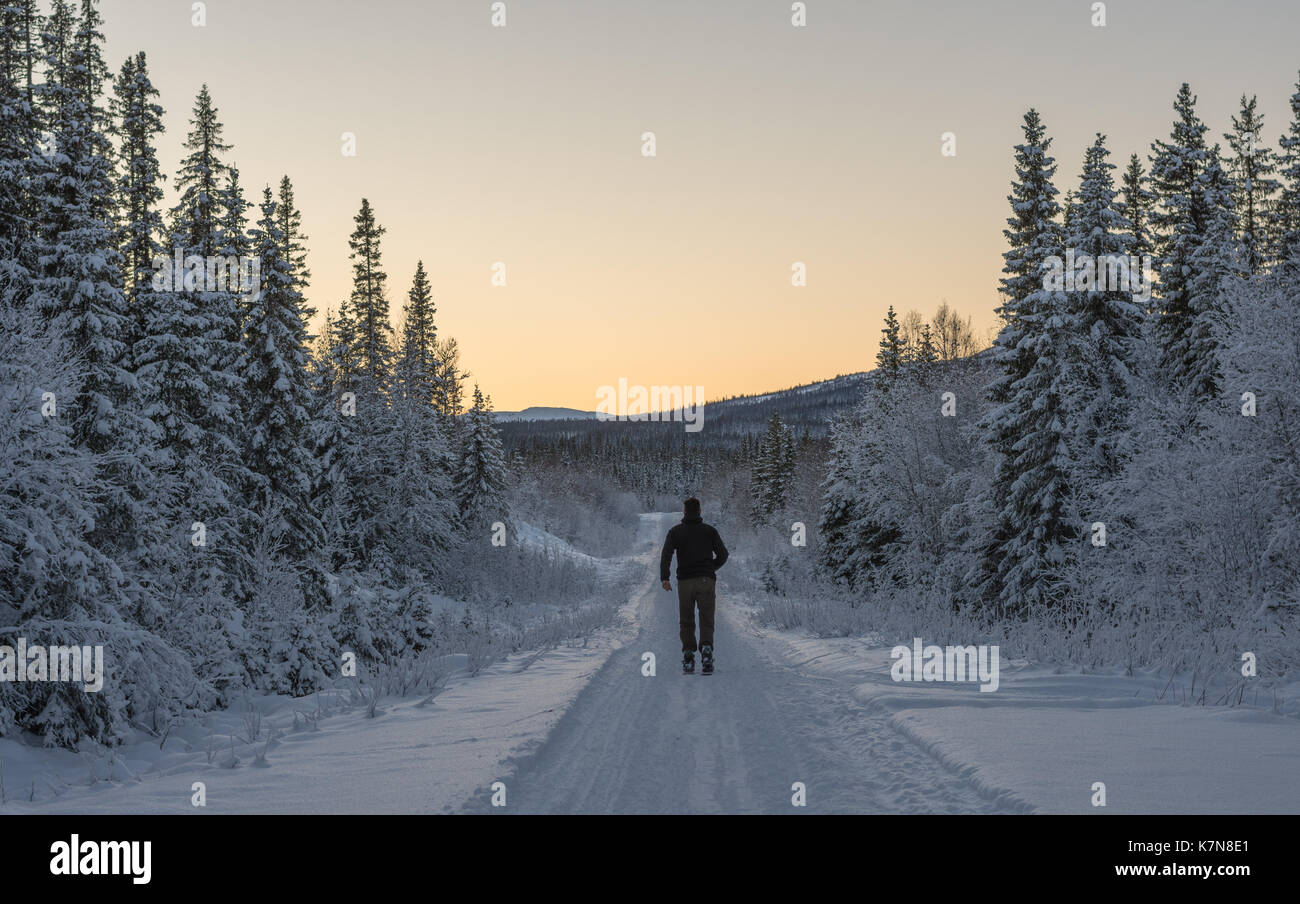 Giovane uomo che corre sugli sci attraverso la foresta innevata fino al tramonto Foto Stock