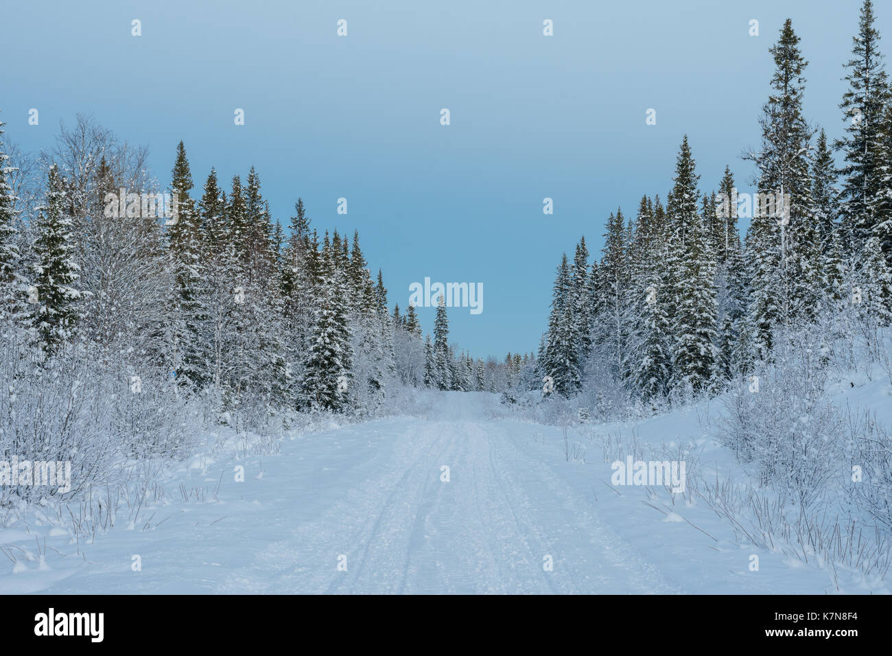 Strada coperta di neve attraverso la foresta invernale svedese Foto Stock
