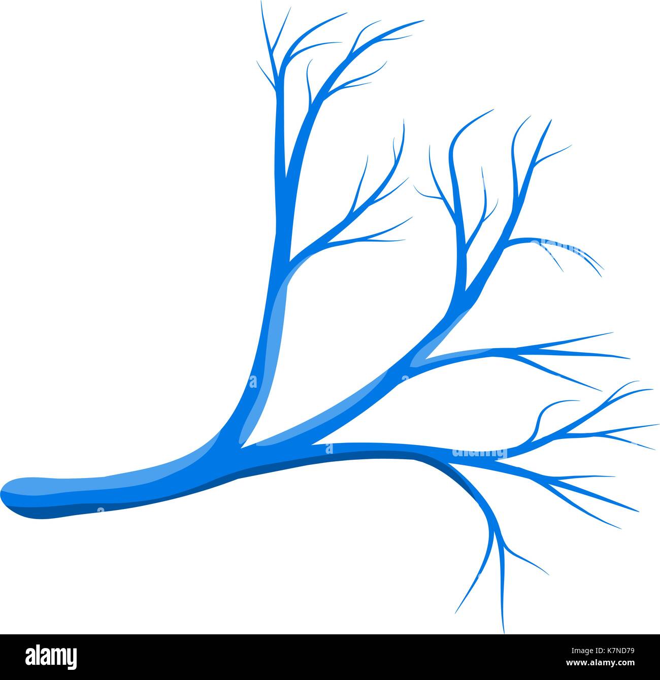 Vaso umano vettore blu icona simbolo design. bella illustrazione isolati su sfondo bianco Illustrazione Vettoriale