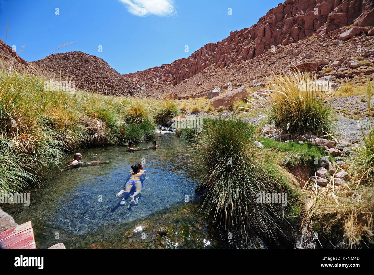 La gente la balneazione nelle acque del Termas de Puritama vicino a San Pedro de Atacama nel nord del Cile Foto Stock