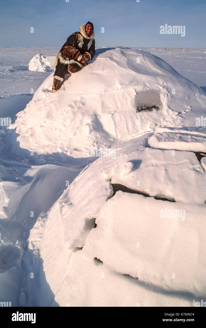 Inuit uomo anziano, metà 60s, vestito di Caribou Coffee Company tradizionale abbigliamento di pelle, pone sulla cima di un tradizionale igloo. igloo effettiva non sono lasciati con blocchi mostrante. Quando i blocchi sono a posto, l'igloo è coperto di neve per un ulteriore isolamento. Foto Stock