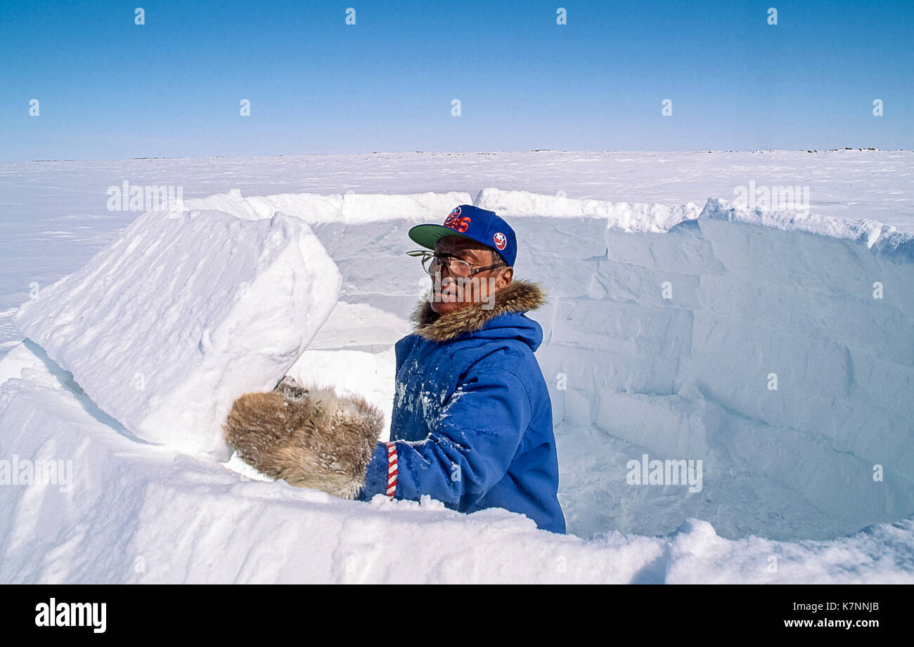 Inuit uomo anziano, vestito in moderno abbigliamento artico, costruisce  igloo da intagliare i blocchi di neve e attentamente la loro collocazione.  Si tratta di un rifugio tradizionale ancora usato da alcuni oggi