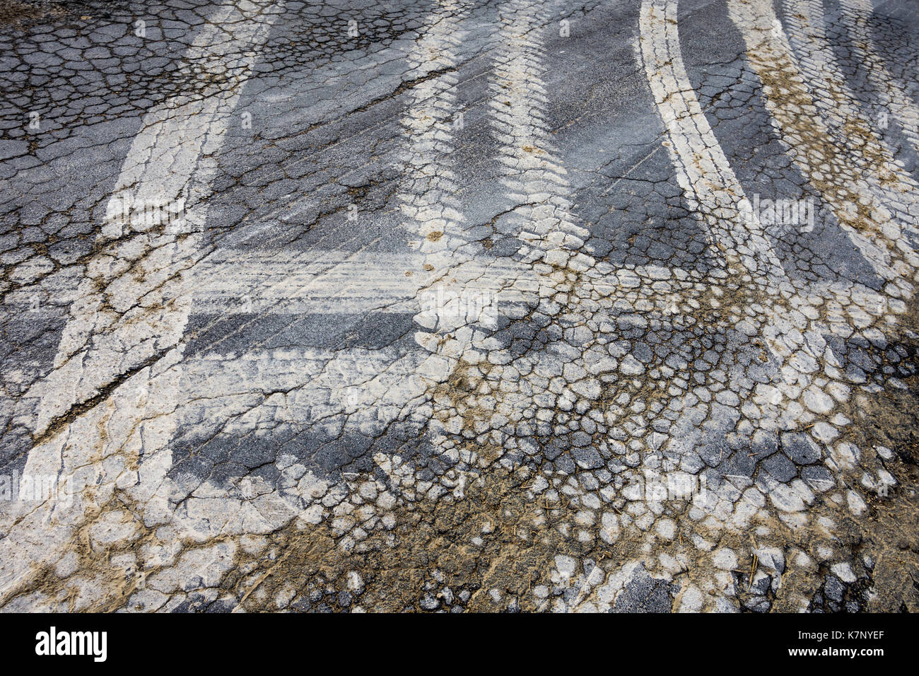 Terreni fangosi tracce di pneumatici su incrinato la superficie stradale da veicoli di fattoria - Francia. Foto Stock