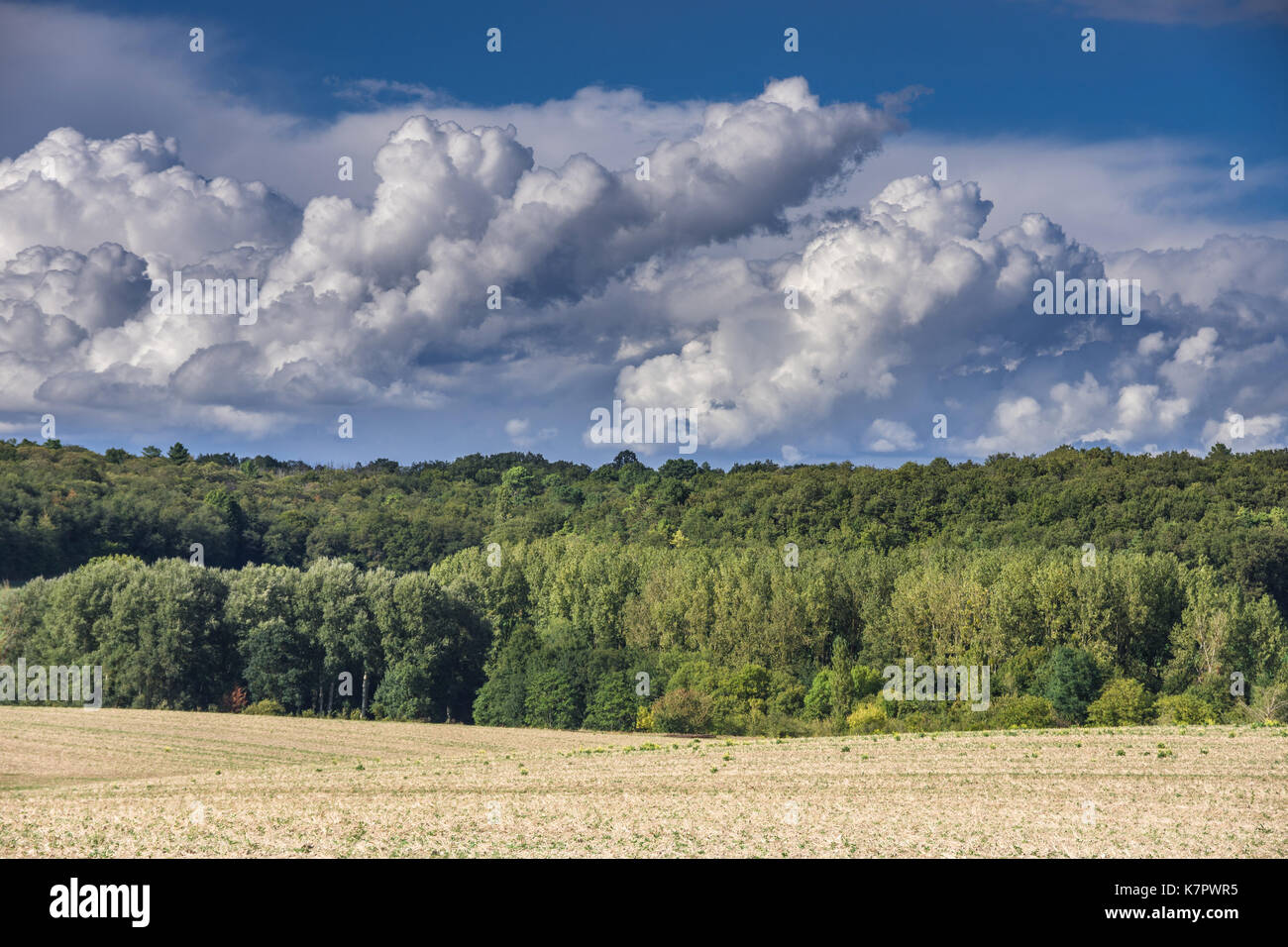 Pioggia nuvole raccolta / avvicinamento summer storm - Francia. Foto Stock
