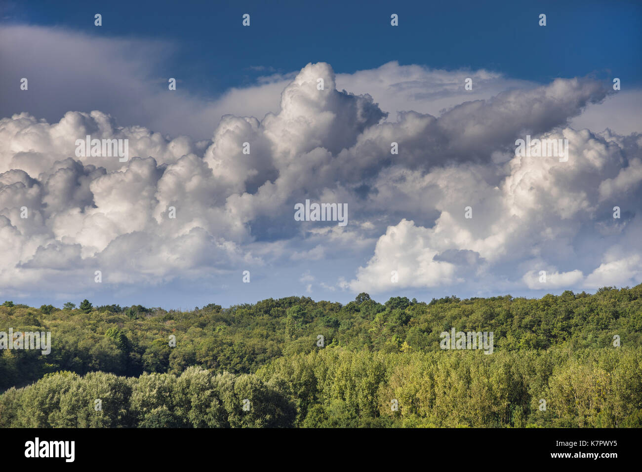 Pioggia nuvole raccolta / avvicinamento summer storm - Francia. Foto Stock