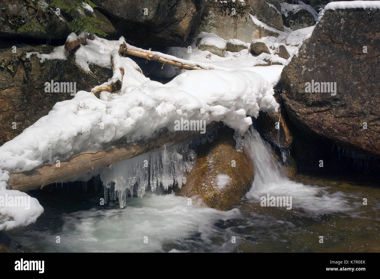 Un torrente di montagna nelle White Mountains del New Hampshire durante il disgelo a molla Foto Stock