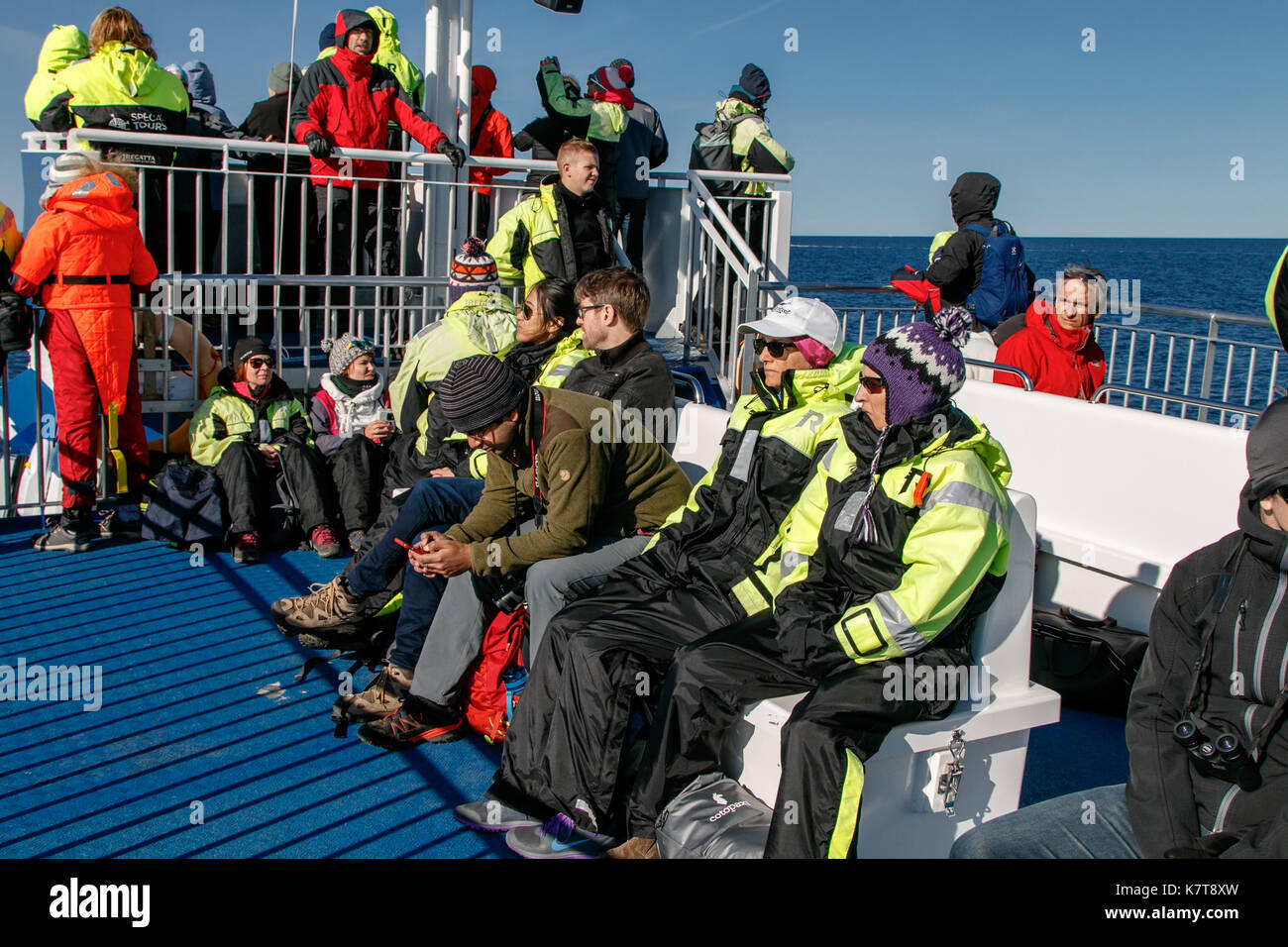 Persone che indossano tute caldo sono a cavallo di un battello durante una whale watching tour fuori di Reykjavik. Foto Stock