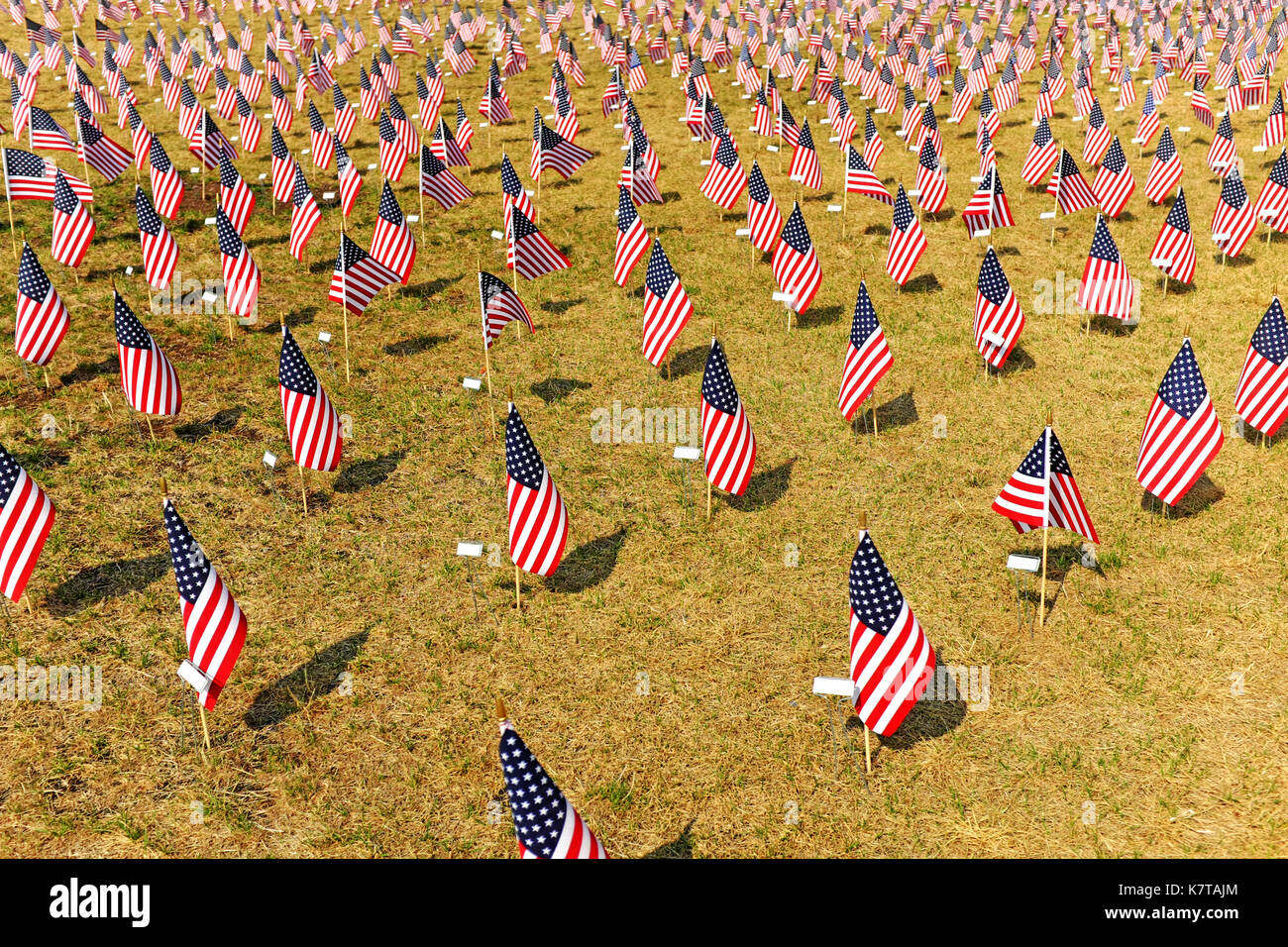 Decine di Stati Uniti d'America le bandiere sono piantati in file al di fuori del cleveland firstenergy football Stadium il giorno dell'apertura 2017. Foto Stock