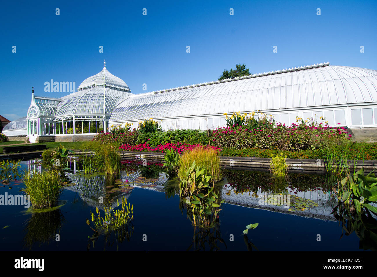 Phipps conservatorio e Giardini Botanici di Pittsburgh, in Pennsylvania, STATI UNITI D'AMERICA Foto Stock