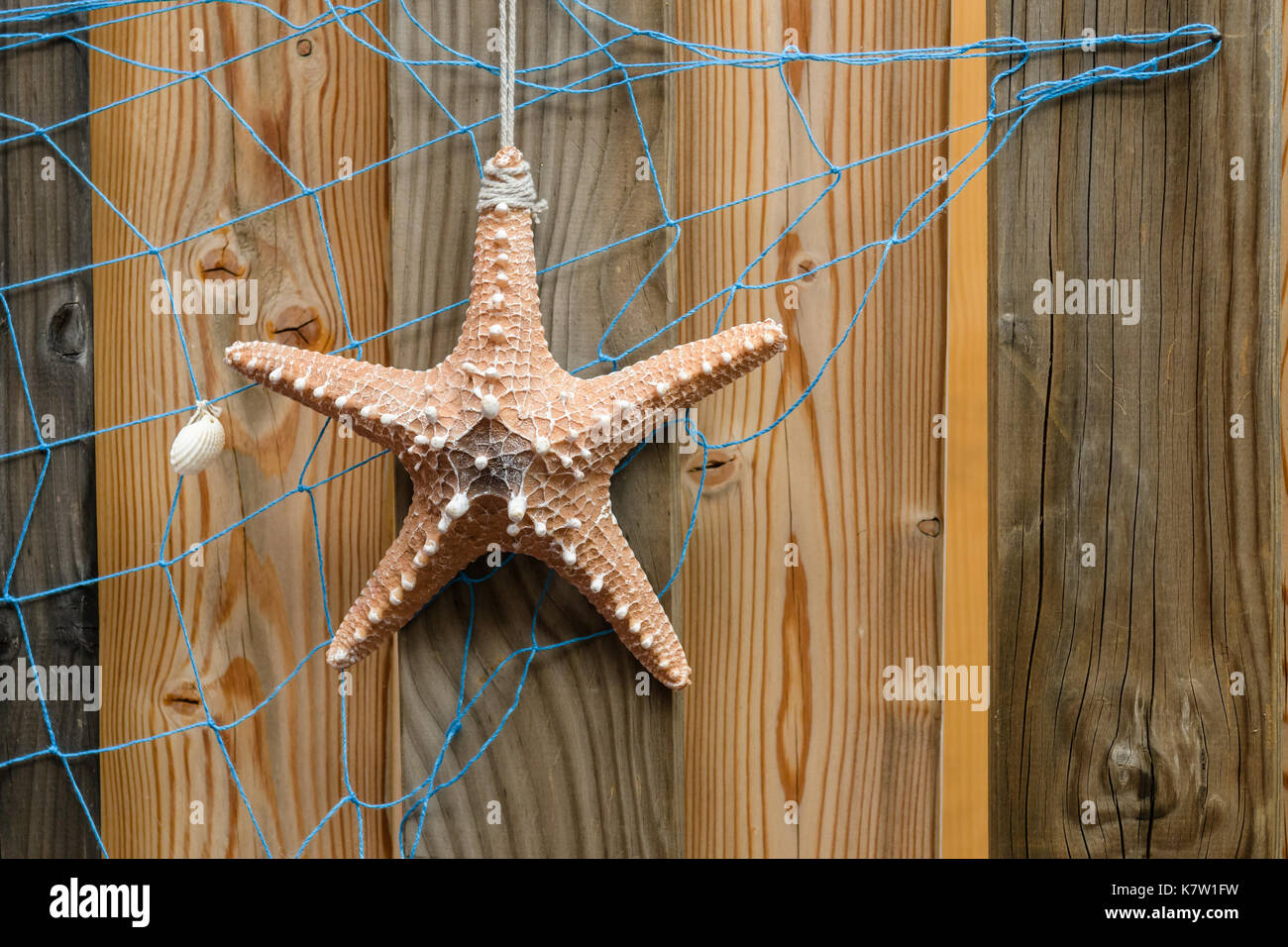 Starfish sfondo con stella di mare e blue net sul legname stagionato plance, estate moderno design e la decorazione Foto Stock