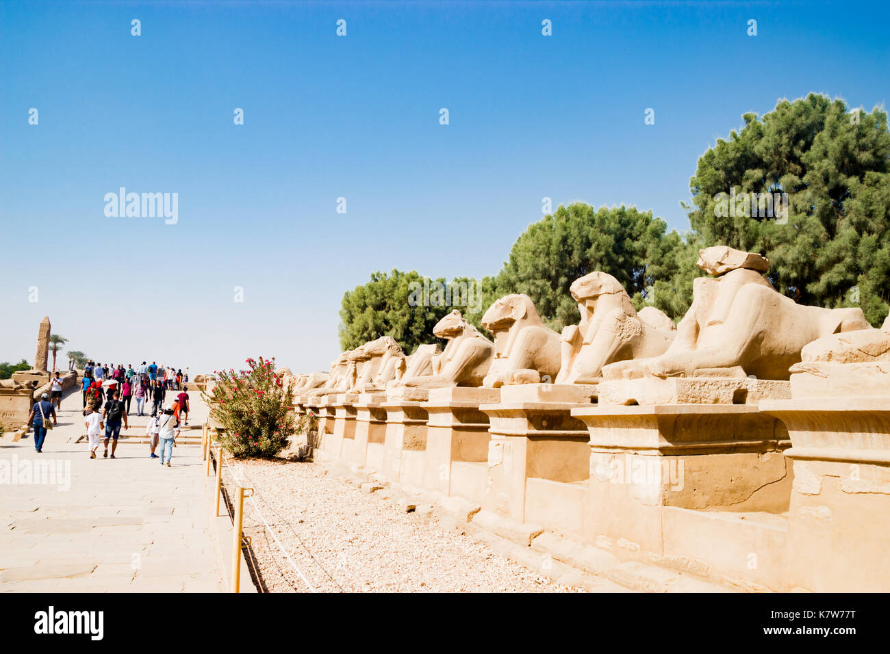 Viale di sfingi a Luxor, Egitto Foto Stock