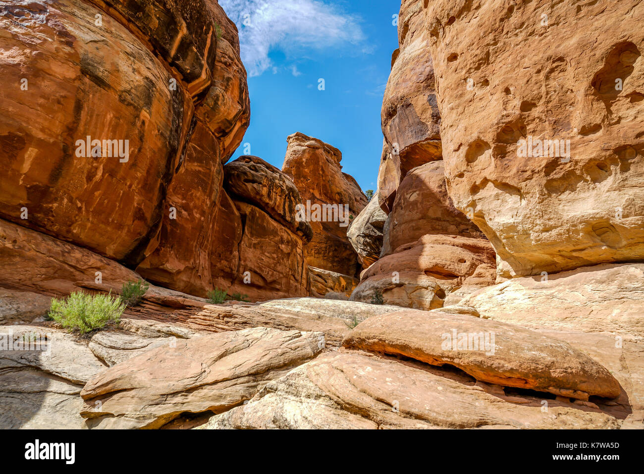 Questo è l'inferno che cucina il monumento nel parco nazionale vicino a Grand Junction colorado. Foto Stock