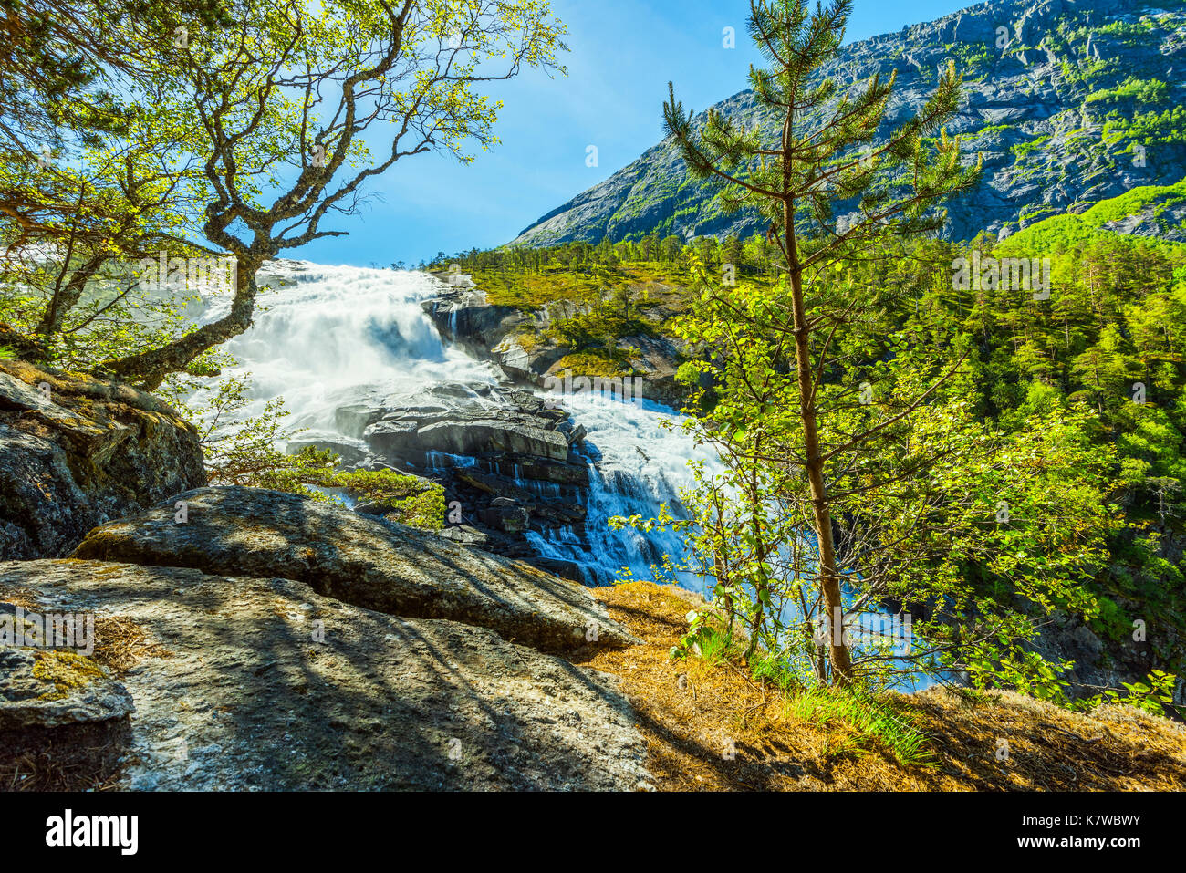 Nyastolfossen scende nella valle Husedalen, vicino Kinsarvik all'Hardangerfjord, Norvegia e Scandinavia Foto Stock